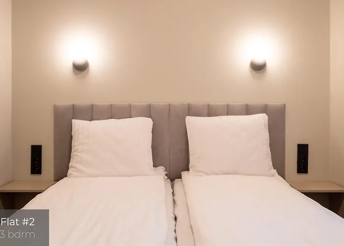 Daire Dandelion Premium Riga